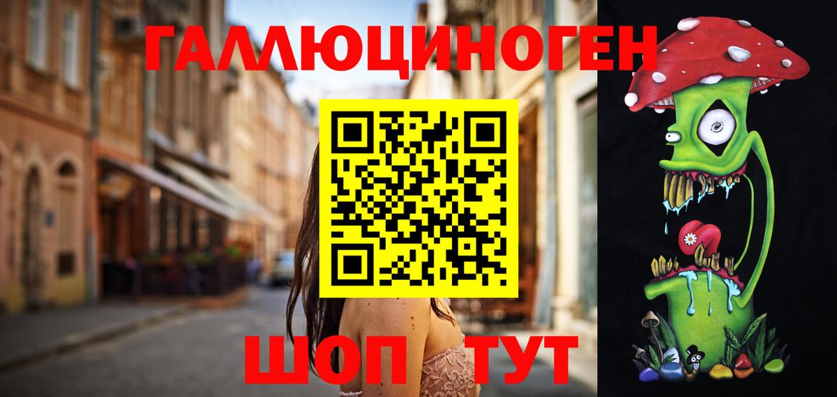 Псилоцибиновые грибы Psilocybine cubensis Славгород
