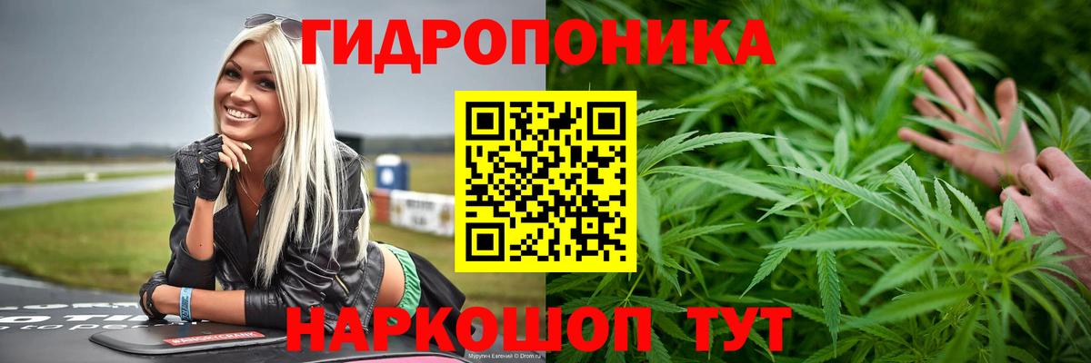 Канабис VHQ  Шишки марихуана LSD WEED  Вход с VPN  Славгород  Бошки Шишки VHQ 